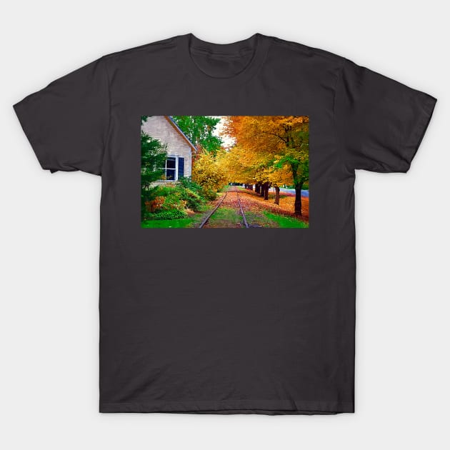 Tracks By The House T-Shirt by KirtTisdale